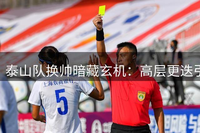 泰山队换帅暗藏玄机：高层更迭引发主帅韩鹏离任